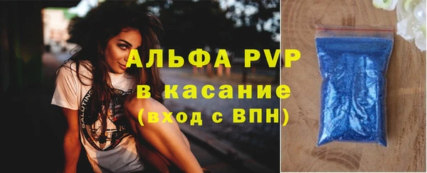 стаф Алзамай