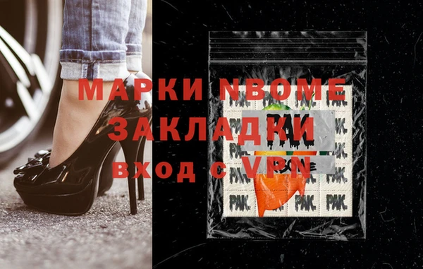 стаф Алзамай