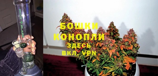 шишки Алексеевка