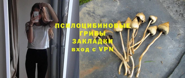 ешки Алексин