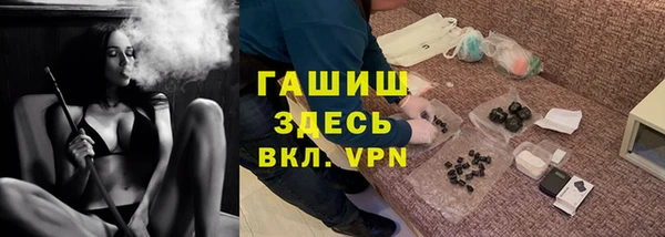 стаф Алзамай